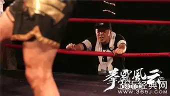 拳霸风云影评拳霸风云评价
