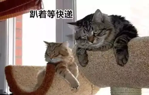 人类到底有多懒如果不用上班,也不用上学......
