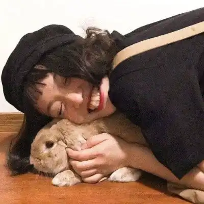 史上最可爱的猫咪图片小猫咪卖萌头像
