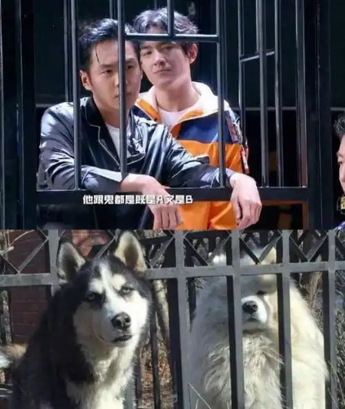 撞脸不可怕,谁混谁尴尬
