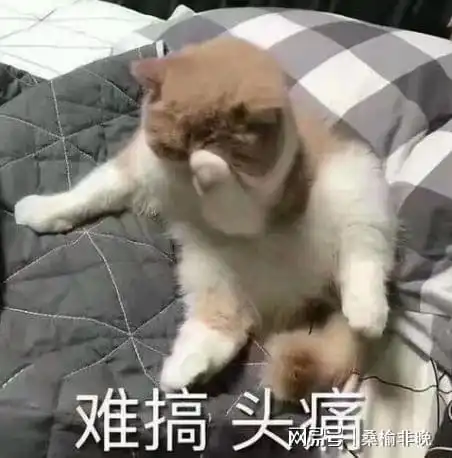 油性皮肤长痘烦恼多,佰花方护肤品可以缓解吗
