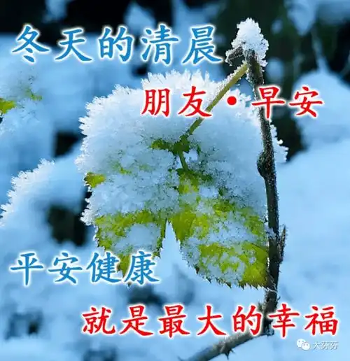 中老年表情包,冬天早上好问候祝福语,青山依旧在,几度夕阳红
