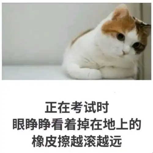 神啊如果没有办法把我变瘦的话,就把我的朋友们变胖吧
