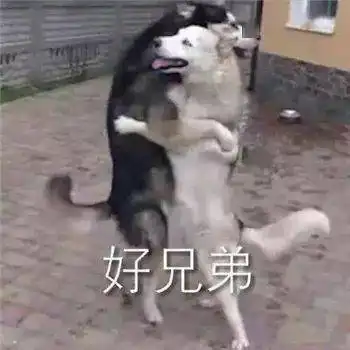 狗狗可爱表情包沙雕