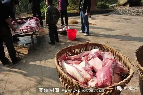 在外的朋友快快回凤冈人,陆续开始搞事啦
