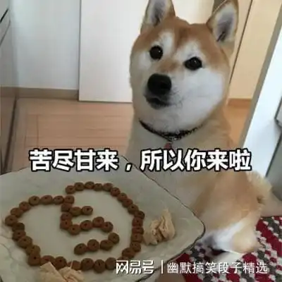 幽默笑话丈母娘今天说孩子应该头朝北睡,脚朝南睡
