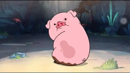 租房租房
