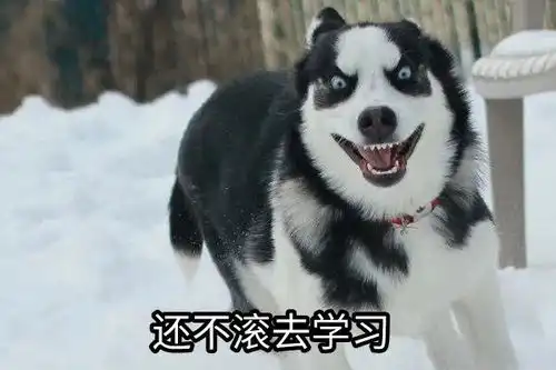 养花的核心省钱技能,你学废了吗