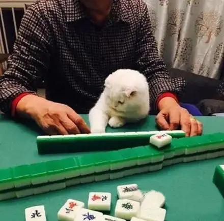 超级搞笑图片,让人笑不拢嘴,绝对值得一看
