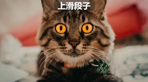 看完之后让人大笑不止哭天喊地的搞笑图片七十六
