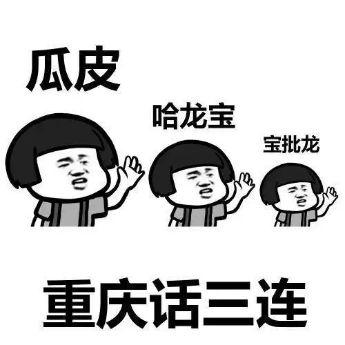 搞笑gif段子狗狗忍无可忍了
