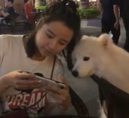 袁毅姐狗姐狗先亲一口不是真的没人说吗张云龙真有点演技牛逼症
