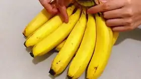 南方种香蕉就是这样子,乡村种一片香蕉,种来自家要吃的
