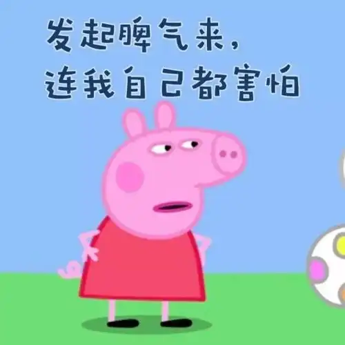 表情包丨来当个精致的猪猪女孩吧

