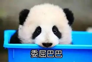 亲,你是吃可爱长大的吗
