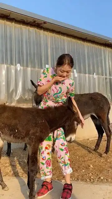 穿上这个衣服,我家驴瞅我的眼神都不对了搞笑
