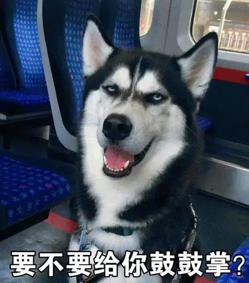 买狗容易养狗难的狗,劝你谨慎入手
