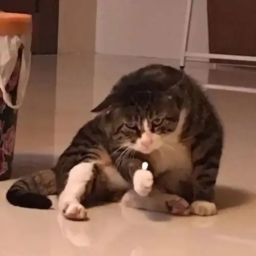 一组搞怪头像送给你
