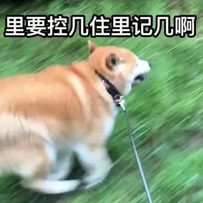搞笑情侣头像爱情就是一场因果报应
