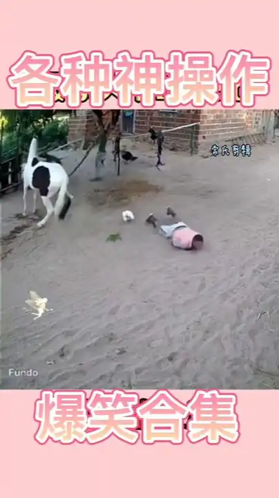 摄像头拍下的爆笑尴尬瞬间
