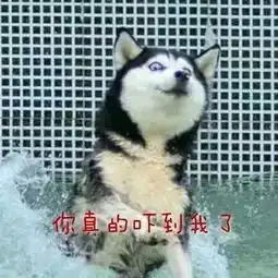 校园一卡通时代这次真的要来了外人恐再无法随意进入学校

