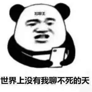 搞笑沙雕熊猫头表情包
