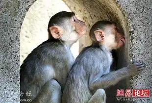 好牛叉的图片令人抓狂暴走图片
