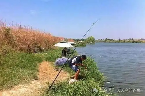 过了大暑节气,应该如何钓鱼4个套路让你不走空
