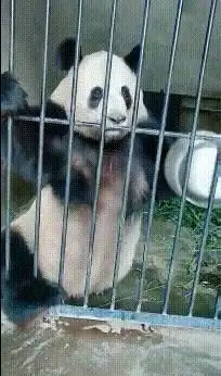 搞笑gif妹子别激动嘛,消消火

