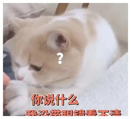 搞笑图片一同事为了节省家庭开支,于是买了一辆体型较小的代步
