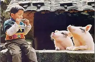 搞笑图片艳遇的最高境界.
