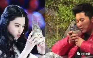 吴谨言杨紫周冬雨纷纷否认新恋情,可娱乐圈的声明还有人信吗
