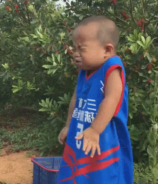 搞笑图片,图一乐呵风火轮小鸟
