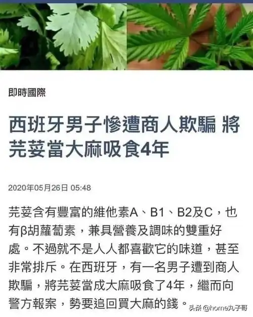gif搞笑趣图姑姑被求婚,侄子反对这门亲事