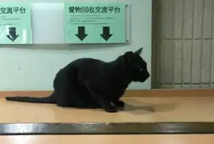 爆笑gif趣图敢把屁股对着我的你是第一个,准备好我要上了啊

