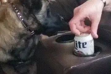 狗子找女主人玩,不小心让她看起来吸血鬼喝吐血的样子搞笑gif
