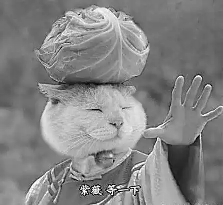 一周车坛囧事途观获自主创新奖
