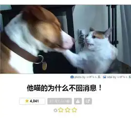 日式冷幽默无聊图大吐槽海量图
