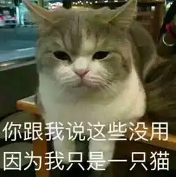 如何评价天使之路第四期
