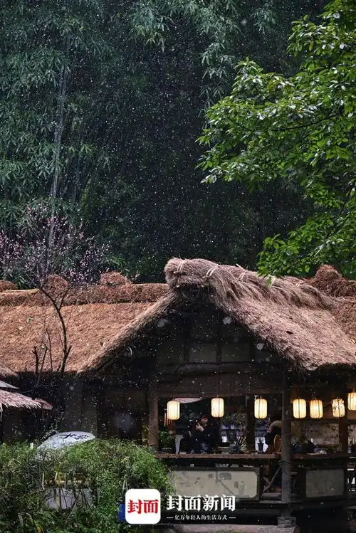 图集急雪舞回风杜甫草堂再现诗中美景
