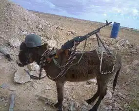 网曝也门民兵把机枪架在驴背上
