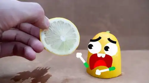 这个柠檬不仅会说话,它还能逗你开心哦,奇趣爆笑动画
