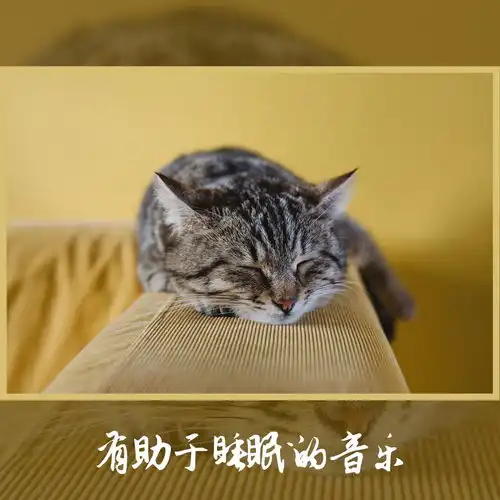 失眠的疗法乐器摇篮曲高音质在线试听失眠的疗法歌词歌曲下载酷狗音乐
