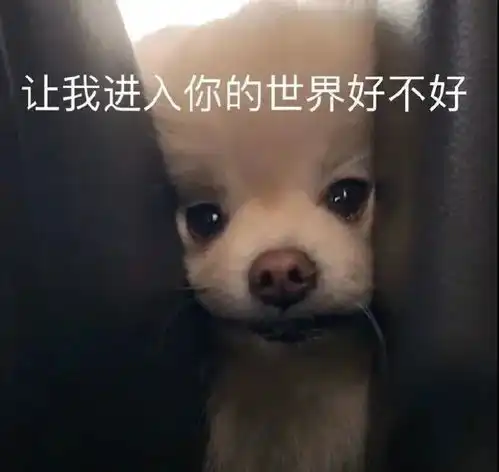 表情包六一可以用的表情包
