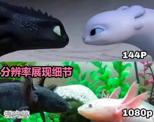 肌肉冷幽默这个首次握枪的女人,也许是天才学员
