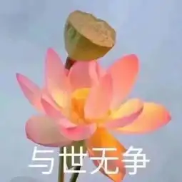 佛系表情包合集