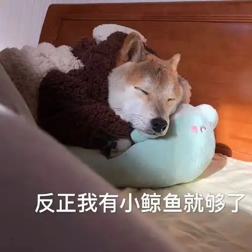 狗狗趁主人不注意把一整袋木耳叼进了洗衣机里,结果全泡发了.....
