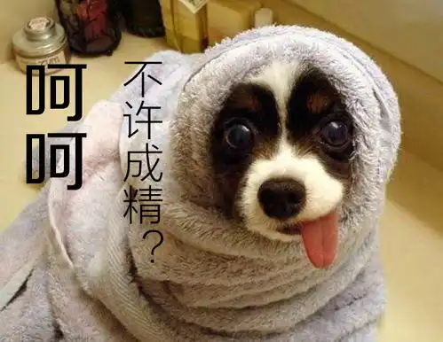 都说了建国以后不许成精,但这画风越看越不对劲