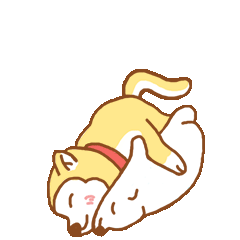 关于萌犬犬的搞笑图片
