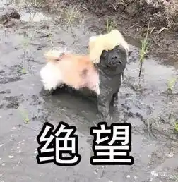 趣读那些年的口误,已笑出腹肌